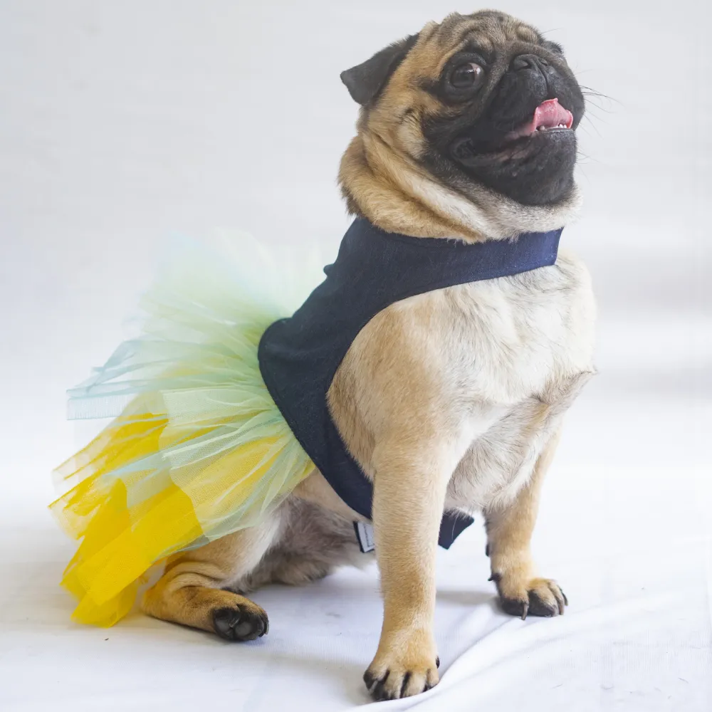 Pawgypets Denim Frilly Dress for Dogs and Cats (Blue/Yellow)