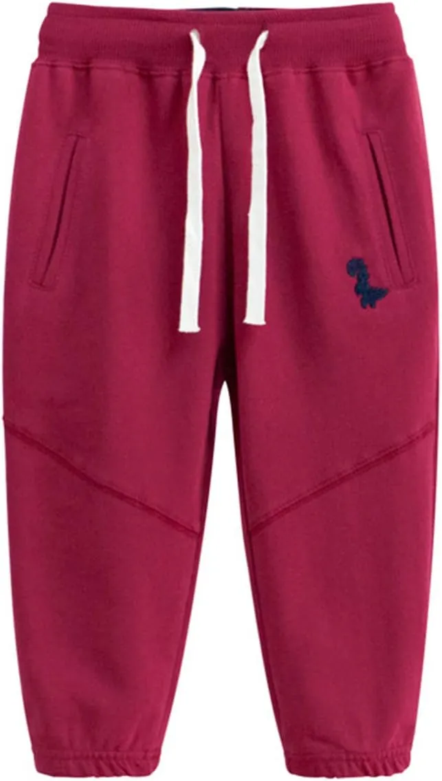 Toddler Boy's 2Pcs Pants, Kids Cotton Pull on Jogger, Boys Dinosaur Elastic Sweatpants
